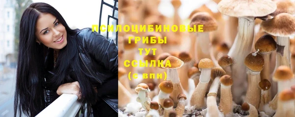 гидра Балахна