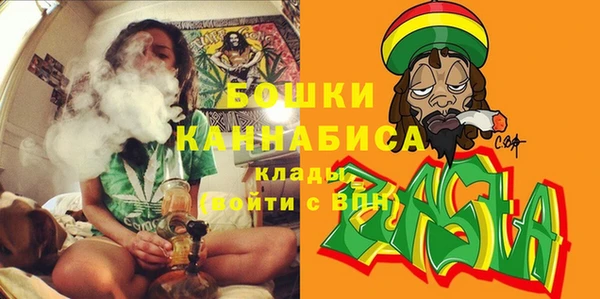 гидра Балахна